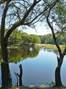 Lakeside Reflections